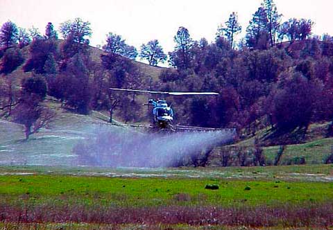 Fort Hunter Liggett Helicopter Flight 